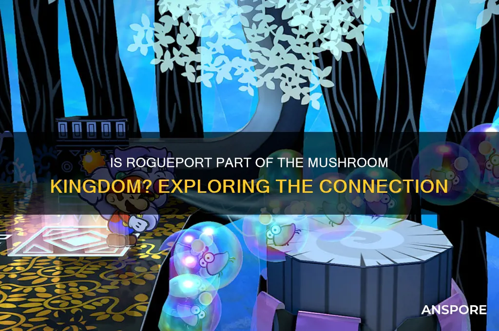 is rogueport in the mushroom kingdom