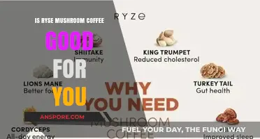 Ryse Mushroom Coffee Benefits: Healthy Energy Boost or Just Hype?