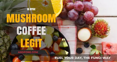 Mushroom Coffee: Is Ryse Legit?