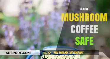 Mushroom Coffee: Safe Superfood or Health Risk?