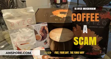 Is Ryze Mushroom Coffee Legit or Just a Health Scam?