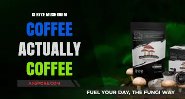 Is Ryze Mushroom Coffee Real Coffee? Unveiling the Truth