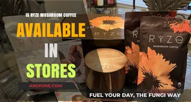 Where to Buy Ryze Mushroom Coffee: In-Store Availability Guide