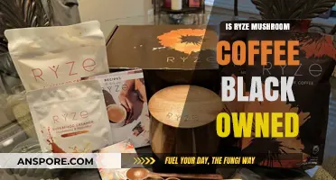Is Ryze Mushroom Coffee Black-Owned? Exploring the Brand's Ownership