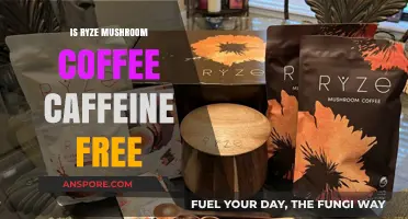 Is Ryze Mushroom Coffee Caffeine-Free? Unveiling the Truth