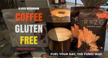 Is Ryze Mushroom Coffee Gluten-Free? A Complete Guide
