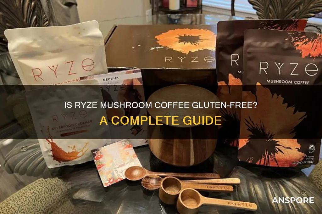 is ryze mushroom coffee gluten free