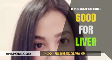 Ryze Mushroom Coffee: Liver Health Benefits or Hype?