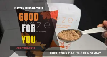 Ryze Mushroom Coffee: Health Benefits, Taste, and Wellness Impact Explained