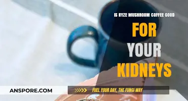 Ryze Mushroom Coffee: Kidney-Friendly Benefits or Potential Risks?