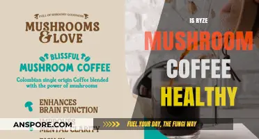 Mushroom Coffee: Healthy Super Brew or Just Hype?