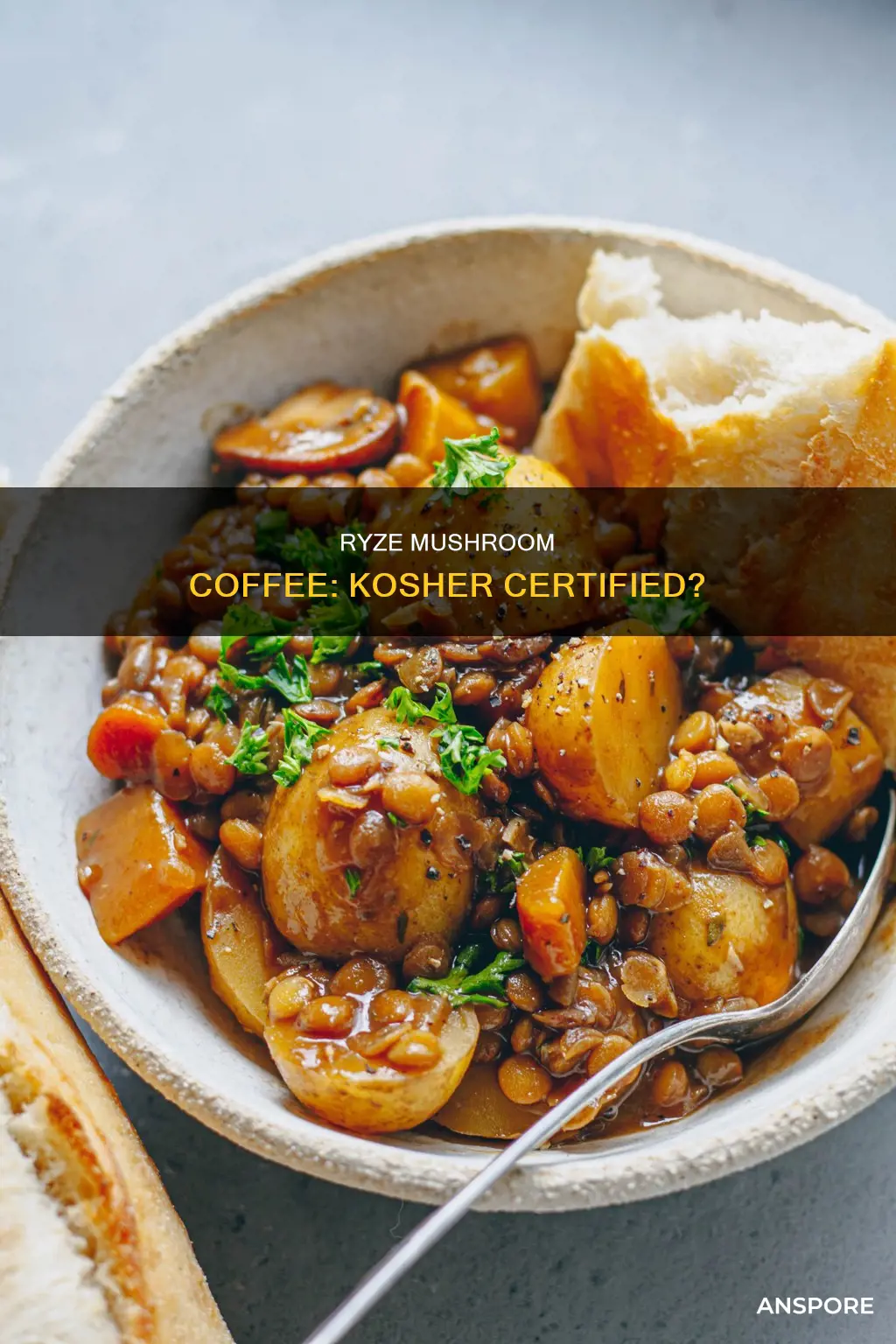 is ryze mushroom coffee kosher