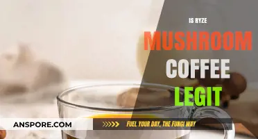 Ryze Mushroom Coffee: Legit or Just Hype?