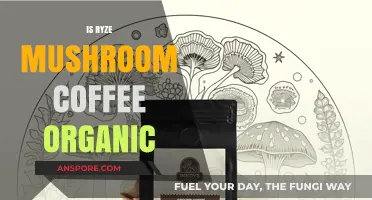 Ryze Mushroom Coffee: Organic Superfood or Fad?