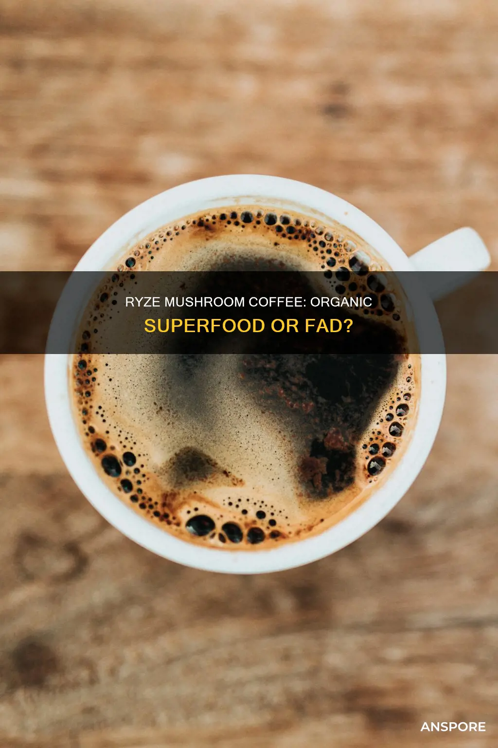 is ryze mushroom coffee organic