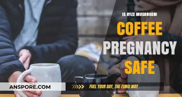 Is Ryze Mushroom Coffee Safe During Pregnancy? Expert Insights