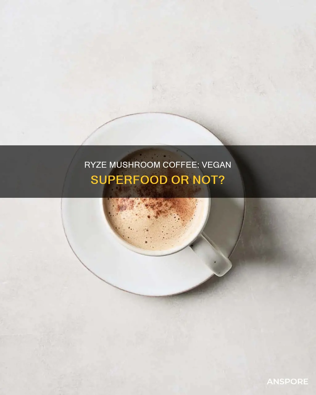 is ryze mushroom coffee vegan