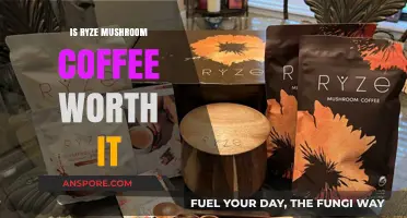 Ryze Mushroom Coffee Review: Benefits, Taste, and Value Explored