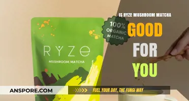 Ryze Mushroom Matcha Benefits: Health Boost or Just Hype?