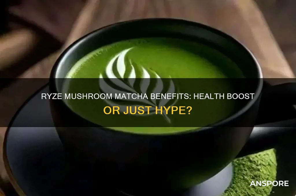 is ryze mushroom matcha good for you