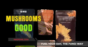 Is Ryze Mushrooms Good? A Comprehensive Review and Benefits Analysis