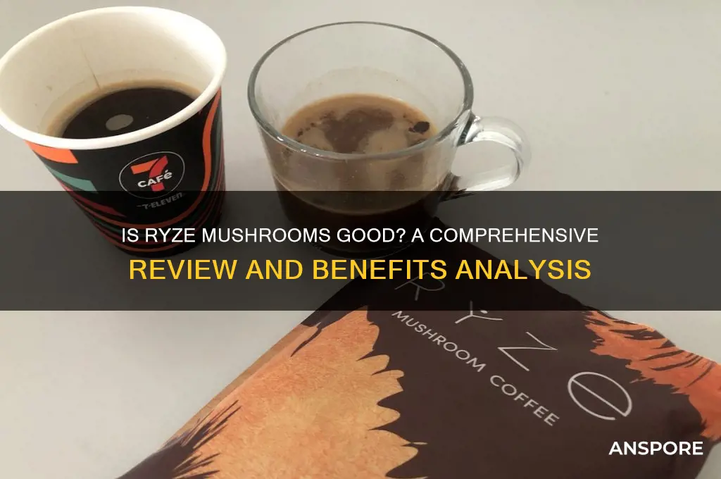 is ryze mushrooms good