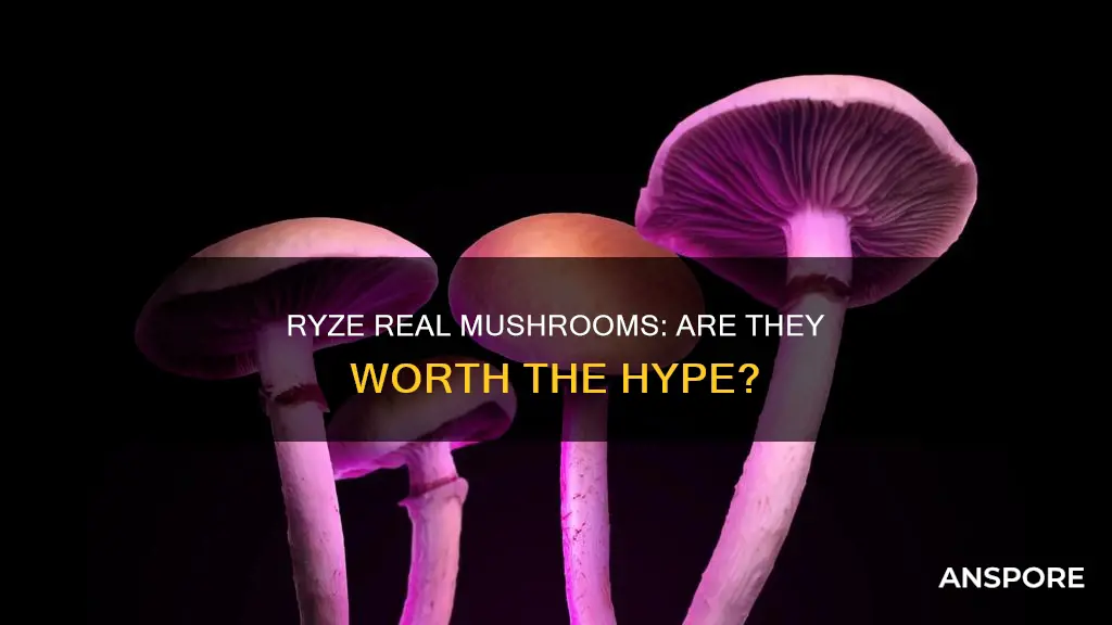 is ryze real mushrooms