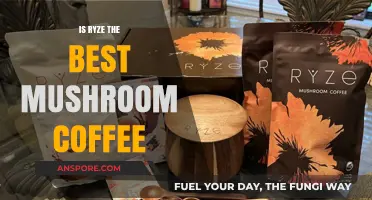 Ryze Mushroom Coffee Review: Is It the Ultimate Brew?