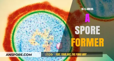 Is S. aureus a Spore Former? Unraveling the Myth and Facts