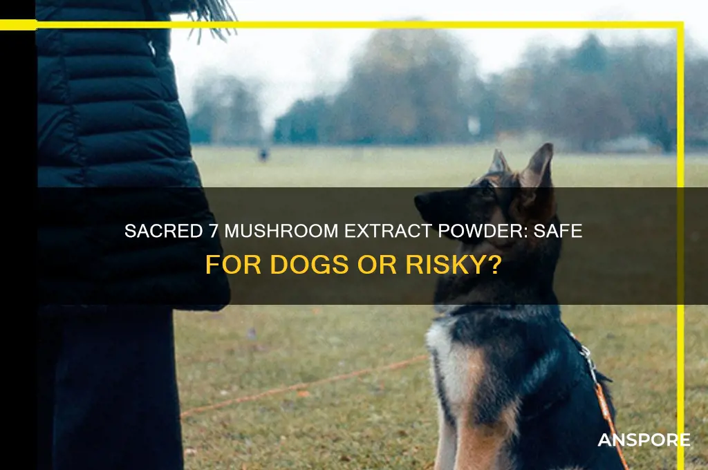 is sacred 7 mushroom extract powder safe for dogs