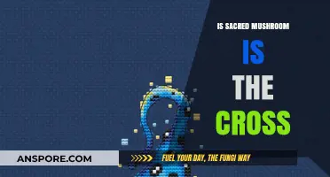 Sacred Mushroom: The Ancient Symbol Behind the Cross?