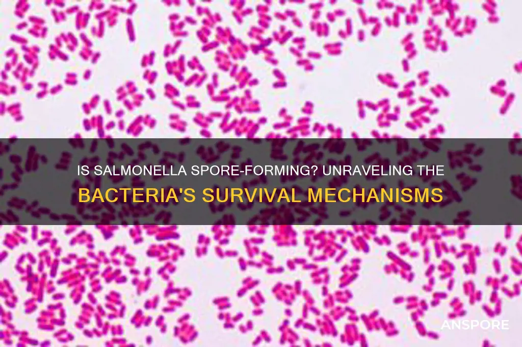 is salmonella a spore forming bacteria