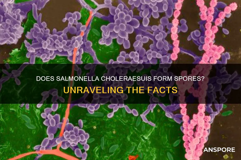 is salmonella choleraesuis spore forming