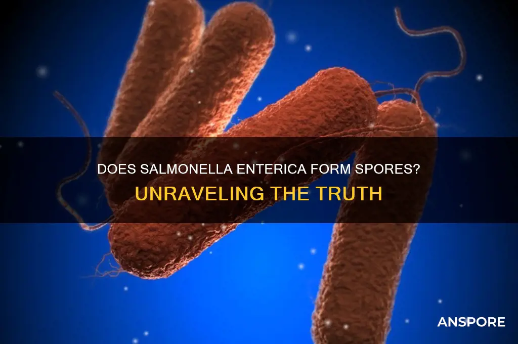 is salmonella enterica a spore former
