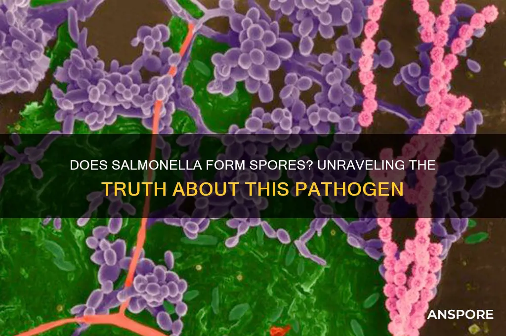is salmonella form spores