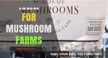 San Diego's Climate: Ideal for Mushroom Farming Success?