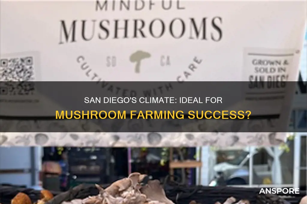 is san diego good for mushroom farms