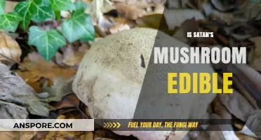 Is Satan's Mushroom Edible? Unveiling the Truth Behind This Fungus