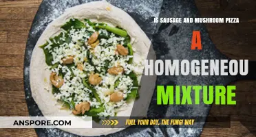 Is Sausage and Mushroom Pizza a Homogeneous Mixture? Exploring Culinary Chemistry