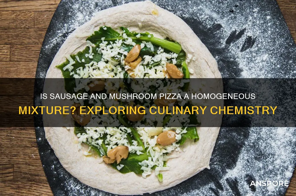 is sausage and mushroom pizza a homogeneous mixture