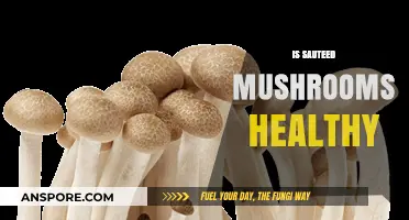 Mushrooms: Healthy Superfood or Fad?
