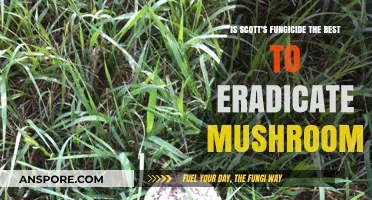 Scott's Fungicide: The Ultimate Solution to Eradicate Mushrooms?