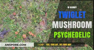 Psychedelic Scurfy Twiglet Mushrooms: A Trippy Adventure