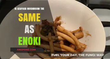 Seafood Mushroom vs. Enoki: Unraveling the Culinary Confusion