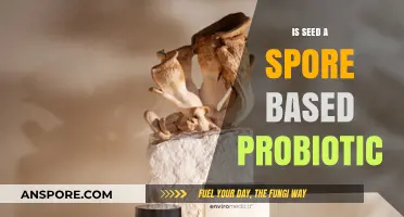 Seed Probiotic: Exploring Its Spore-Based Benefits and Microbiome Impact