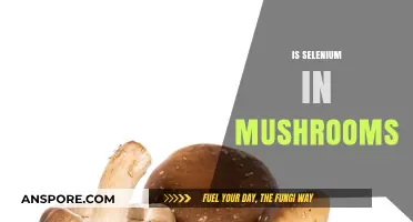 Mushrooms: Selenium Source or Not?