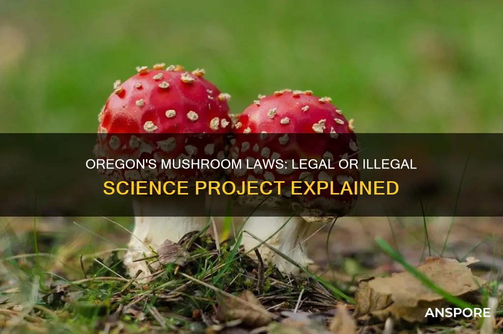 is selling mushrooms illegal oregon sceince project swear to god