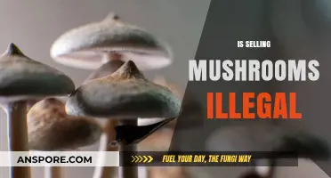 Mushroom Trade: Legal or Not?