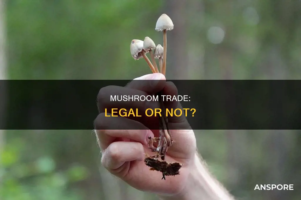 is selling mushrooms illegal