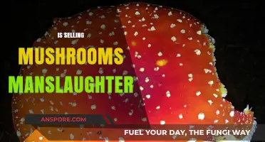 Mushroom Manslaughter: Selling Fungi, Taking Lives?